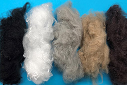 江蘇海邦新材料有限公司（泰州市海侖化纖有限公司）官網(wǎng)，丙綸短纖，PP短纖，丙綸短纖維，PP短纖維